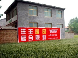 美姑如何让墙体广告展现最大化效果
