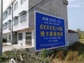 美姑墙体广告质量分析