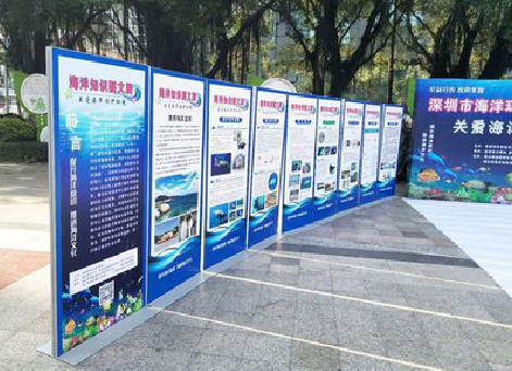 美姑KT板的种类和知识。